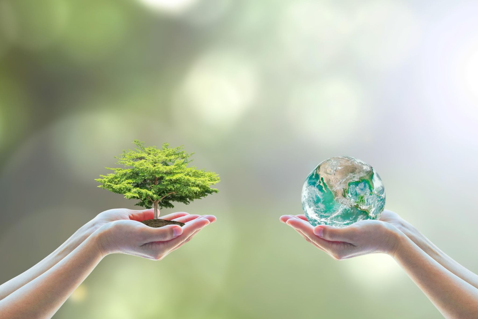 Çevre Dostu İş Yerleri İçin Plastik Kasa Çözümleri Nelerdir?